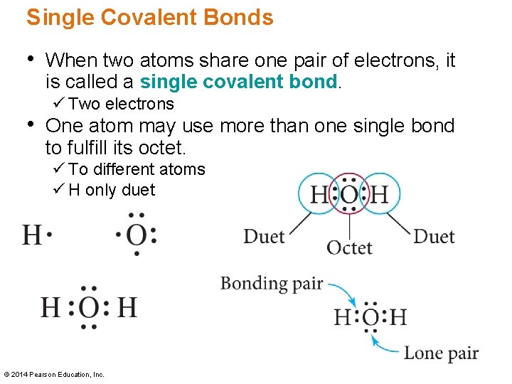Single Covalent Bonds • When two atoms share one pair of electrons, it is