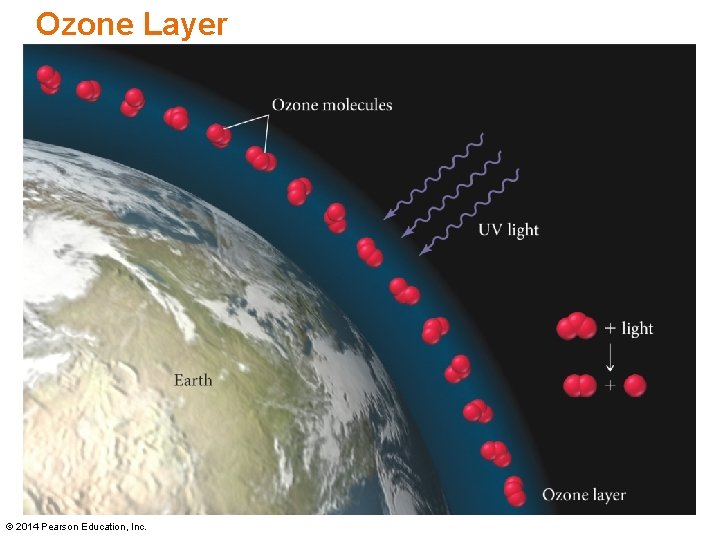 Ozone Layer © 2014 Pearson Education, Inc. 