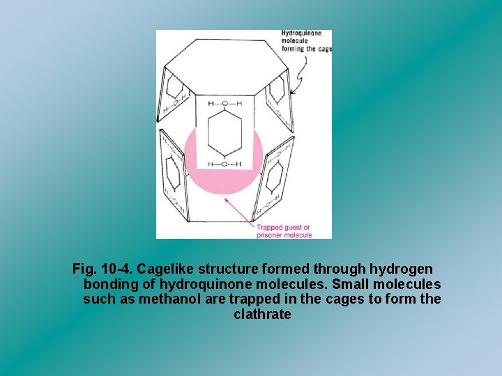 Fig. 10 -4. Cagelike structure formed through hydrogen bonding of hydroquinone molecules. Small molecules