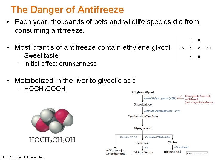 The Danger of Antifreeze • Each year, thousands of pets and wildlife species die
