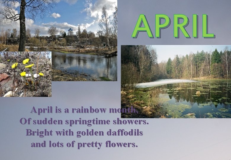 APRIL April is a rainbow month, Of sudden springtime showers. Bright with golden daffodils