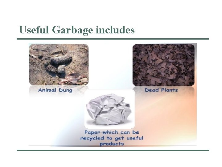 Useful Garbage includes 