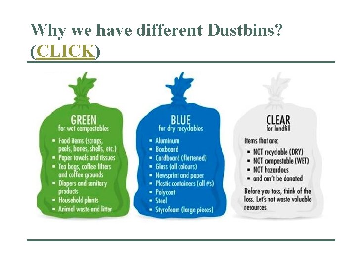 Why we have different Dustbins? (CLICK) 