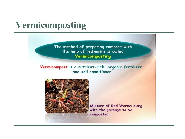 Vermicomposting 