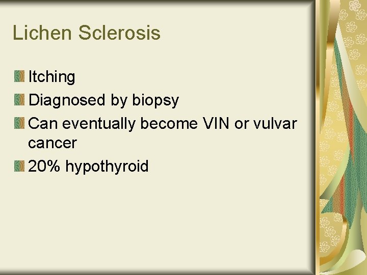 Lichen Sclerosis Itching Diagnosed by biopsy Can eventually become VIN or vulvar cancer 20%