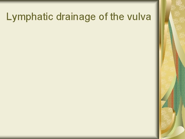 Lymphatic drainage of the vulva 