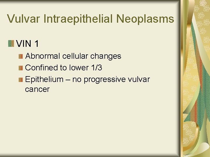 Vulvar Intraepithelial Neoplasms VIN 1 Abnormal cellular changes Confined to lower 1/3 Epithelium –
