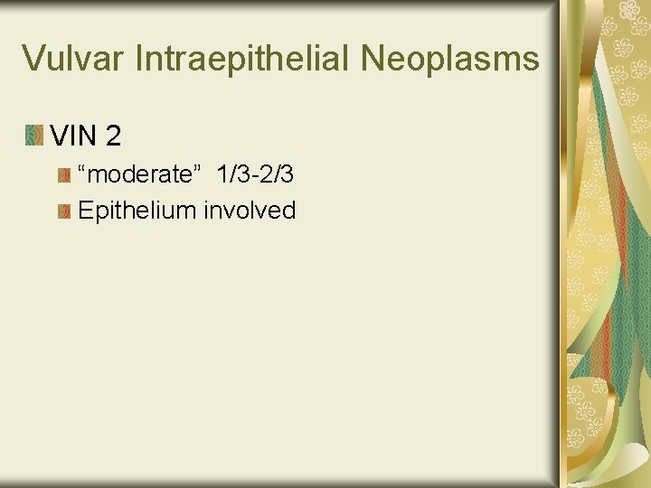Vulvar Intraepithelial Neoplasms VIN 2 “moderate” 1/3 -2/3 Epithelium involved 