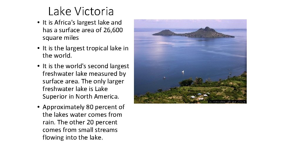 Lake Victoria • It is Africa's largest lake and has a surface area of