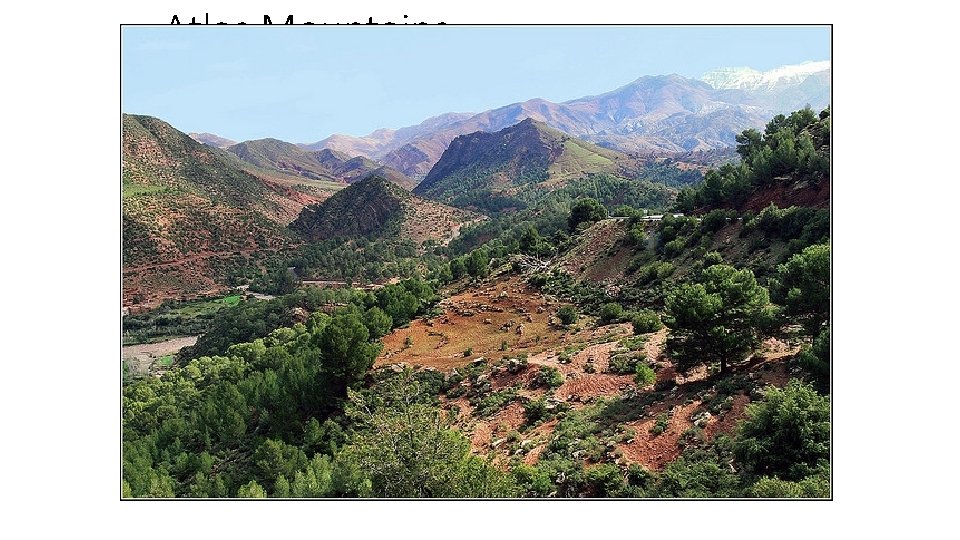 Atlas Mountains • The mountain range stretches approximately 1, 600 miles (2, 500 kilometers)