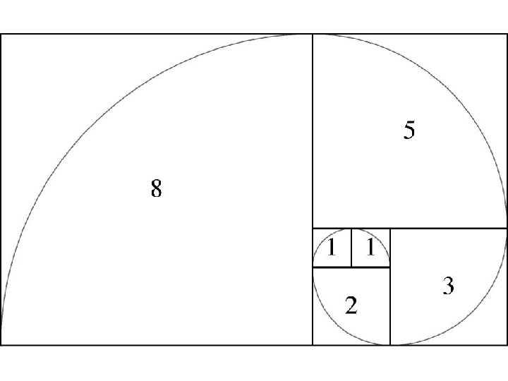 Fibonacci spiraal 