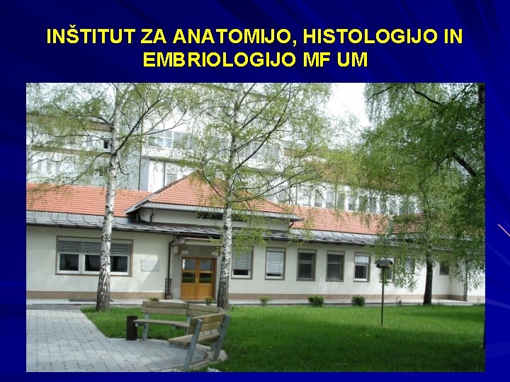 INŠTITUT ZA ANATOMIJO, HISTOLOGIJO IN EMBRIOLOGIJO MF UM 