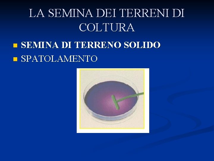 LA SEMINA DEI TERRENI DI COLTURA SEMINA DI TERRENO SOLIDO n SPATOLAMENTO n 