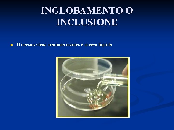 INGLOBAMENTO O INCLUSIONE n Il terreno viene seminato mentre è ancora liquido 
