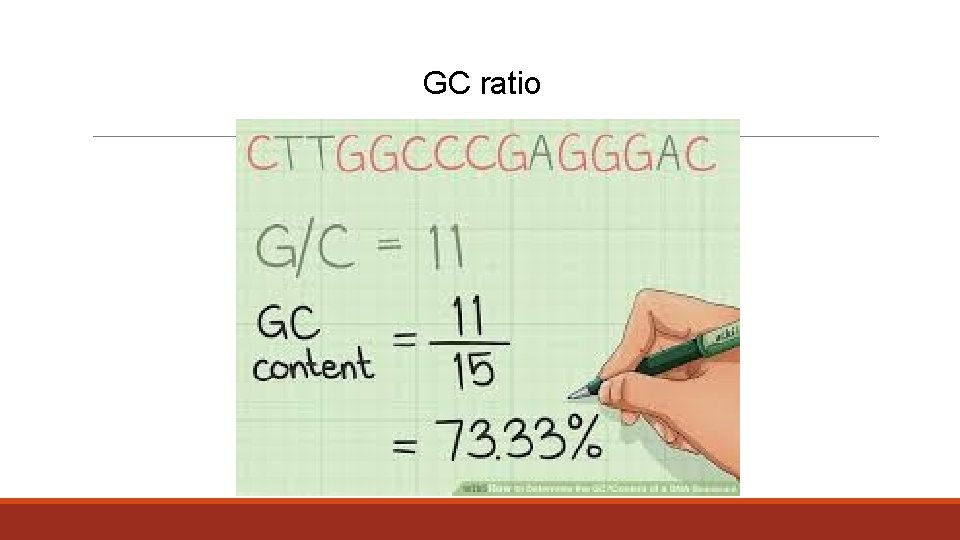 GC ratio 