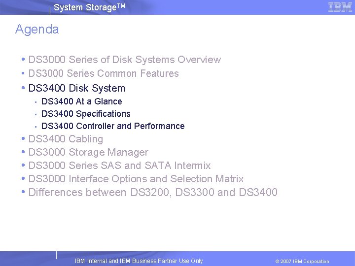 System Storage. TM Agenda • DS 3000 Series of Disk Systems Overview • DS