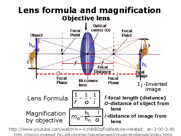 Lens formula and magnification Objective lens ho f f i O Lens Formula hi