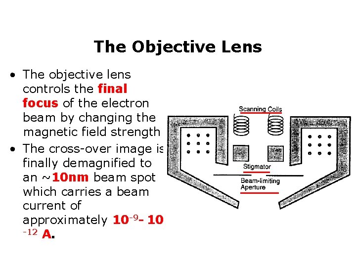 The Objective Lens • The objective lens controls the final focus of the electron