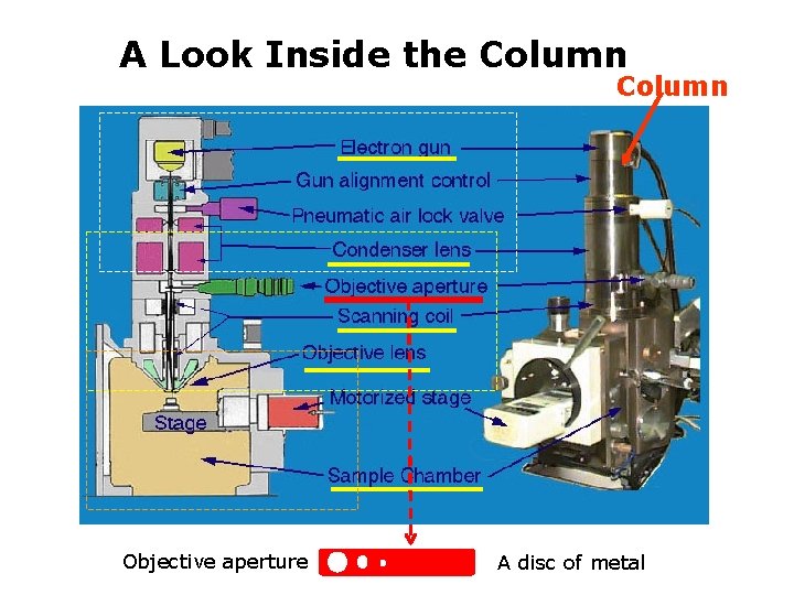 A Look Inside the Column Objective aperture A disc of metal 