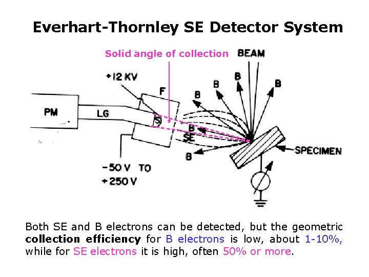 Everhart-Thornley SE Detector System Solid angle of collection Both SE and B electrons can