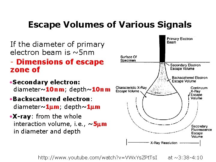 Escape Volumes of Various Signals If the diameter of primary electron beam is ~5