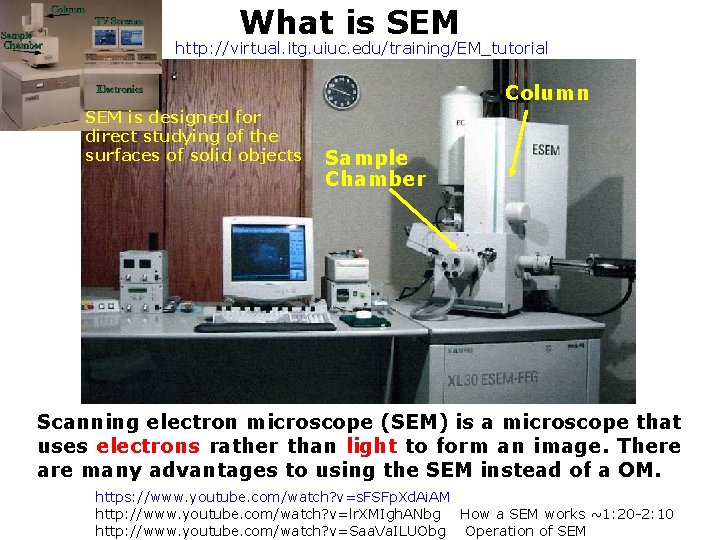 What is SEM http: //virtual. itg. uiuc. edu/training/EM_tutorial Column SEM is designed for direct