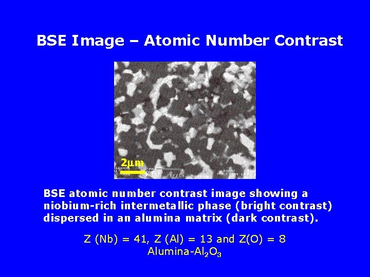 BSE Image – Atomic Number Contrast 2 m BSE atomic number contrast image showing