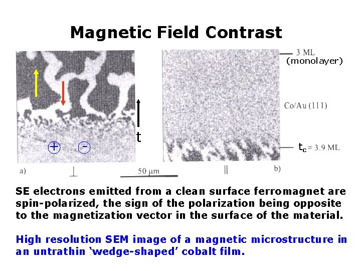 Magnetic Field Contrast (monolayer) + - t tc SE electrons emitted from a clean