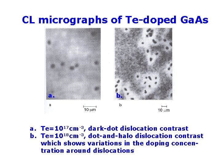 CL micrographs of Te-doped Ga. As a. b. a. Te=1017 cm-3, dark-dot dislocation contrast