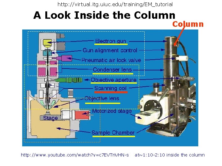 http: //virtual. itg. uiuc. edu/training/EM_tutorial A Look Inside the Column http: //www. youtube. com/watch?