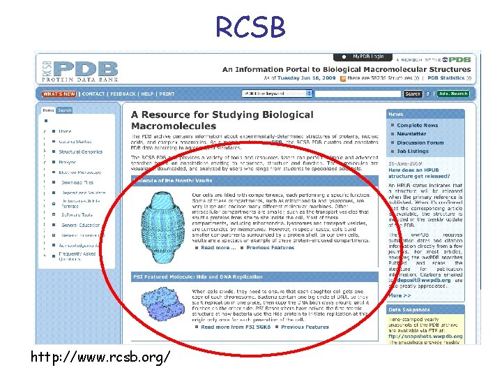 RCSB http: //www. rcsb. org/ 