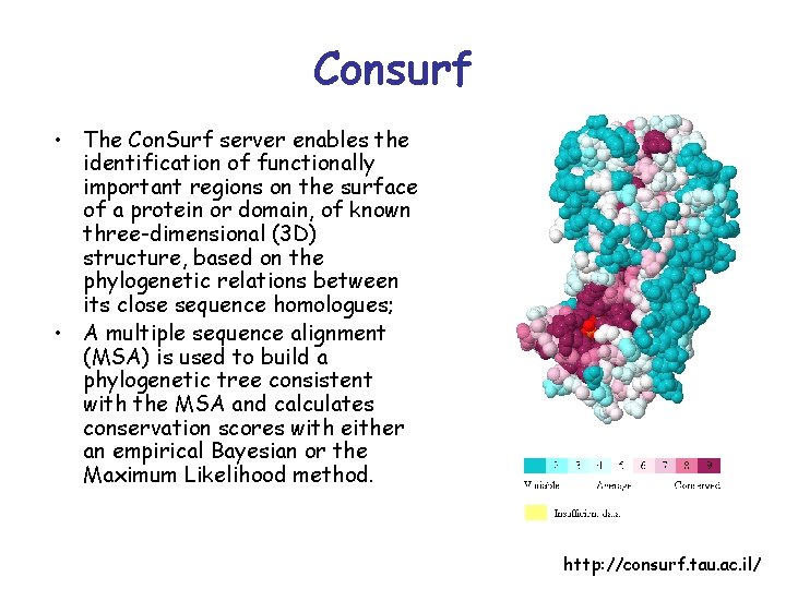 Consurf • The Con. Surf server enables the identification of functionally important regions on