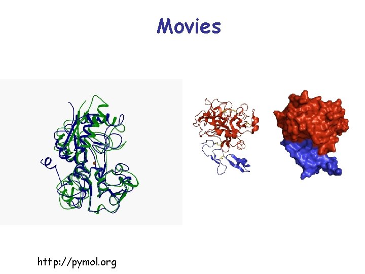 Movies http: //pymol. org 