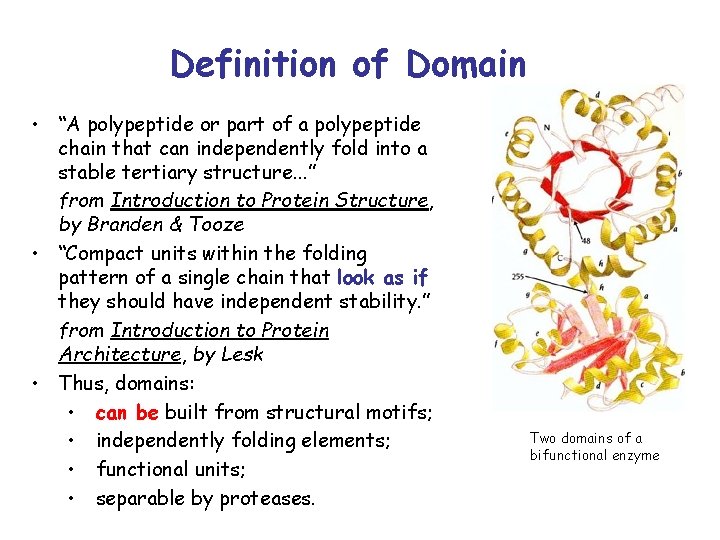 Definition of Domain • “A polypeptide or part of a polypeptide chain that can