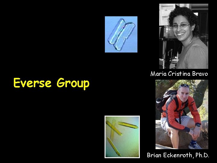Everse Group Maria Cristina Bravo Brian Eckenroth, Ph. D. 