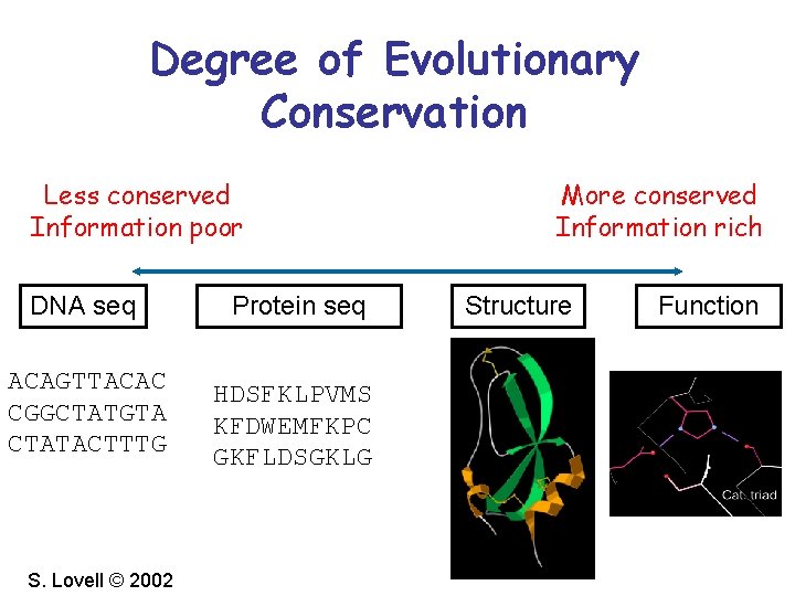 Degree of Evolutionary Conservation Less conserved Information poor DNA seq Protein seq ACAGTTACAC CGGCTATGTA