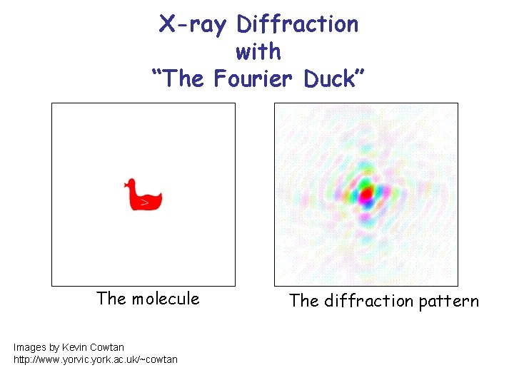 X-ray Diffraction with “The Fourier Duck” The molecule Images by Kevin Cowtan http: //www.
