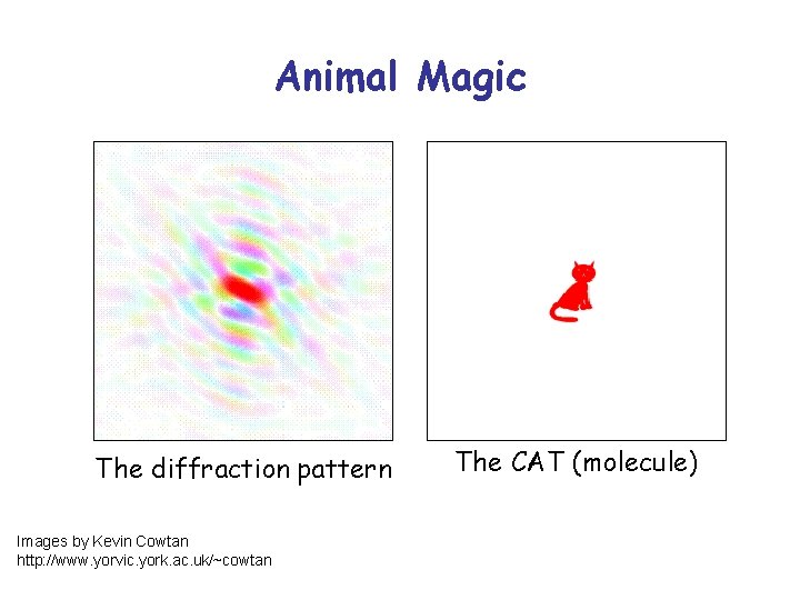 Animal Magic The diffraction pattern Images by Kevin Cowtan http: //www. yorvic. york. ac.