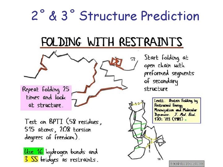 2˚ & 3˚ Structure Prediction 