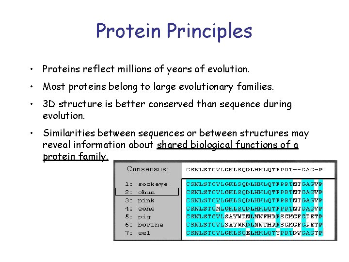 Protein Principles • Proteins reflect millions of years of evolution. • Most proteins belong