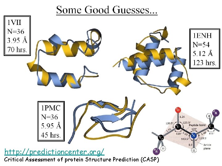 http: //predictioncenter. org/ Critical Assessment of protein Structure Prediction (CASP) 
