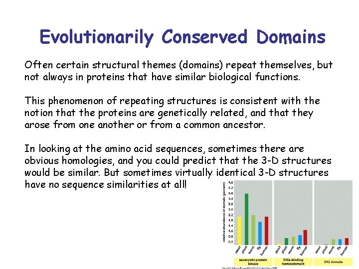 Evolutionarily Conserved Domains Often certain structural themes (domains) repeat themselves, but not always in