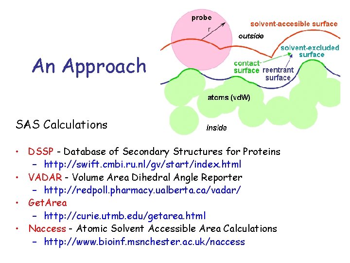 An Approach SAS Calculations • DSSP - Database of Secondary Structures for Proteins –