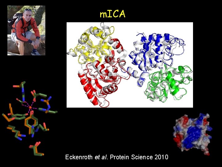 m. ICA Eckenroth et al. Protein Science 2010 