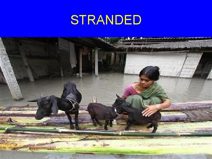 STRANDED 