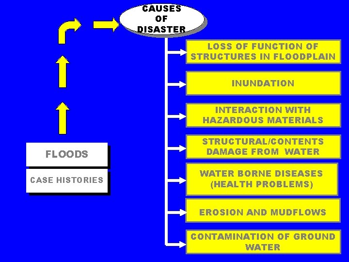 CAUSES OF DISASTER LOSS OF FUNCTION OF STRUCTURES IN FLOODPLAIN INUNDATION INTERACTION WITH HAZARDOUS