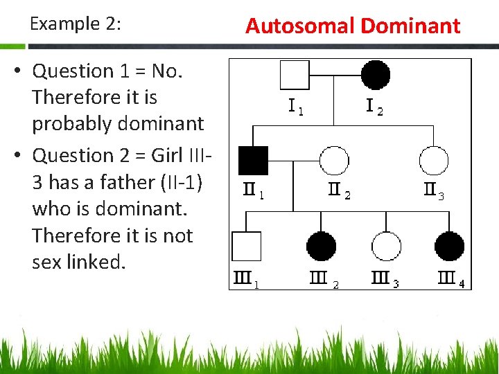 Example 2: • Question 1 = No. Therefore it is probably dominant • Question