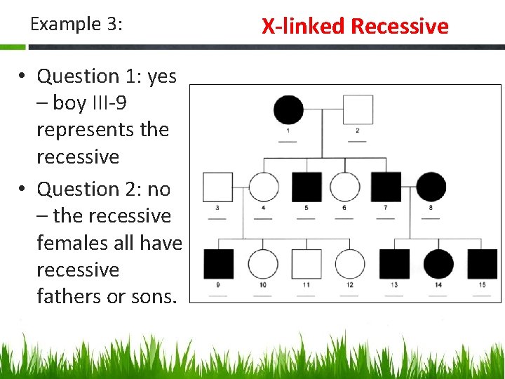 Example 3: • Question 1: yes – boy III-9 represents the recessive • Question