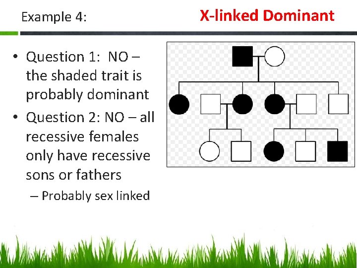 Example 4: • Question 1: NO – the shaded trait is probably dominant •
