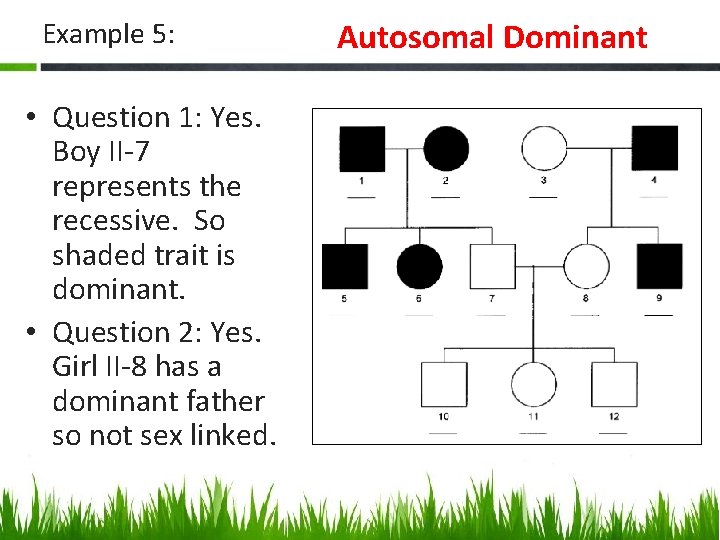 Example 5: • Question 1: Yes. Boy II-7 represents the recessive. So shaded trait
